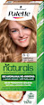 Naturals Color Creme boja za kosu – 300 svijetloplava Palette naturals COLOR CREME