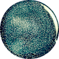 Glow Glitter lac de unghii 90 miss sporty