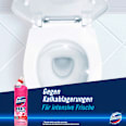 WC-Reiniger Gel Kraft & Frische Floral Fresh  Domestos