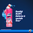 WC-Reiniger Gel Kraft & Frische Floral Fresh  Domestos