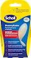 Blasenpfaster Scholl
