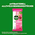 Allzwecktücher Granatapfel & Limette Dettol