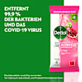 Allzwecktücher Granatapfel & Limette Dettol