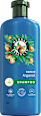 Shampoo Repair Arganöl Herbal Essences