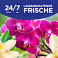 Weichspüler Vanille & Orchidee 59WL Softlan