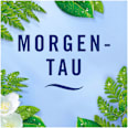 Lufterfrischer Extra Stark Morgentau Febreze