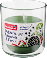 Duftkerze im Glas Zedernholz Cassis Profissimo