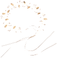 Haar-Kranz ebelin
