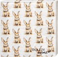 Servietten "Hase Hansi" (33x33 cm) BOLTZE