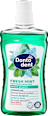 Mundspülung Fresh Mint Tiefenreinigung Dontodent