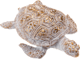 Schildkröte, weiß-gold BOLTZE