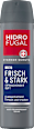 Antitranspirant Deospray Men Frisch & Stark Hidrofugal