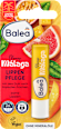 Pomadka do ust mango Malaga Balea