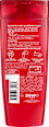 Color-Glanz Pflege-Shampoo L'ORÉAL PARiS ELVITAL