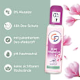 Deo Zerstäuber Pure Magnolia CD