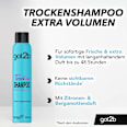 Trockenshampoo Extra Volumen got2b