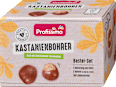 Kastanienbohrer Bastel-Set Profissimo