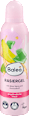 Rasiergel mit Aloe Vera und Avocadoöl Balea
