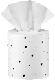 Fazzoletti cosmetici in confezione cilindrica assort. ebelin