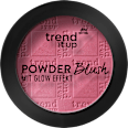 Powder Blush Rouge - Nr. 065 trend !t up