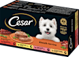 Nassfutter Hund klassik-terrine Cesar