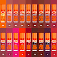 Lipgloss Duck Plump 14 Hall of Flame NYX PROFESSIONAL MAKEUP