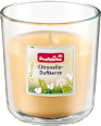 Duftkerze Citronella Profissimo
