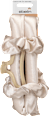 Lockenstyler -  Set bestehend aus einem Stylingtool, zwei Haargummis und einer Haarklammer ebelin