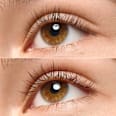 Tusz do rzęs Lash Princess False Lash Effect Mascara Burgundy essence