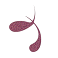 Eyeliner Colour it! metallic liquid 02 Dark Cherry essence