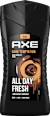 Duschgel Dark Temptation AXE