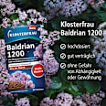 Baldrian 1200 Tabletten 30 St Klosterfrau
