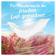 Weichspüler Luftfrisch Wildblumenfeld Lenor