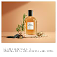 Collection Amber Breeze Woda perfumowana męska DAVID BECKHAM