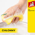 Zmywak kuchenny JAN Niezbędny