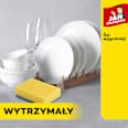 Zmywak kuchenny JAN Niezbędny