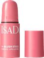 Blush Stick 42 Rose Perfection IsaDora