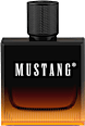 Amber Signature edt MUSTANG