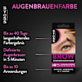 Augenbrauenfarbe Dunkelblond 6-1 syoss