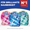 WC-Stein Brilliant Gel All In 1 Polarmeer BLUE STAR
