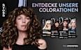 Haarfarbe 4_65 Chocolate Copper Syoss