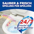 WC-Stein Kraft Aktiv Früchtezauber WC-Frisch
