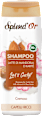 Shampoo Let's Curly capelli ricci Splend'Or