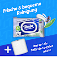Feuchtes Toilettenpapier Natural Skin Balance Tempo