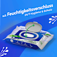 Feuchtes Toilettenpapier Natural Skin Balance Tempo