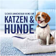 Textilerfrischer Intensive Frische Febreze