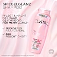Shampoo Glycolic Gloss  L'ORÉAL PARiS ELVITAL