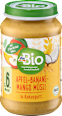 bio příkrm jablko & banán v kokosovém jogurtu dmBio