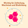 AbZ Pharma Folsäure AbZ 5 mg Tabletten AbZ Pharma