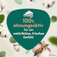 Slipeinlagen Organic Cotton Long Carefree